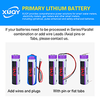 uploads/erp/collection/images/Battery/CXY/Bat518742/img_b/Bat518742_img_b_2