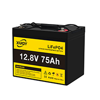 uploads/erp/collection/images/Battery/TKW/Bat736192/img_b/Bat736192_img_b_5